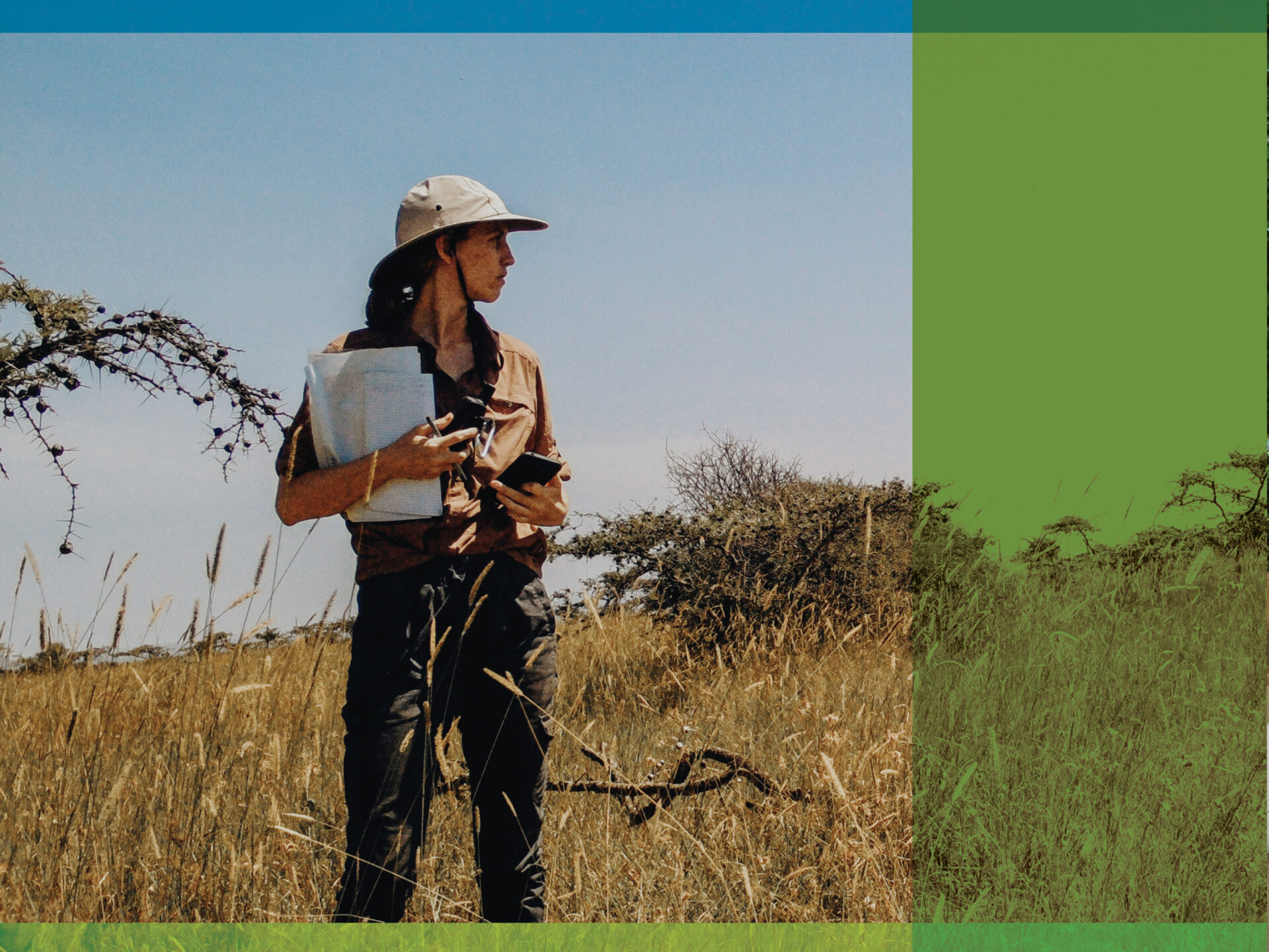 Solving for the Roots