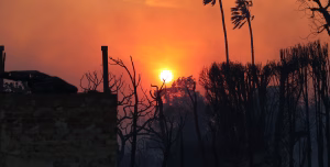 Altadena Fire Aftermath